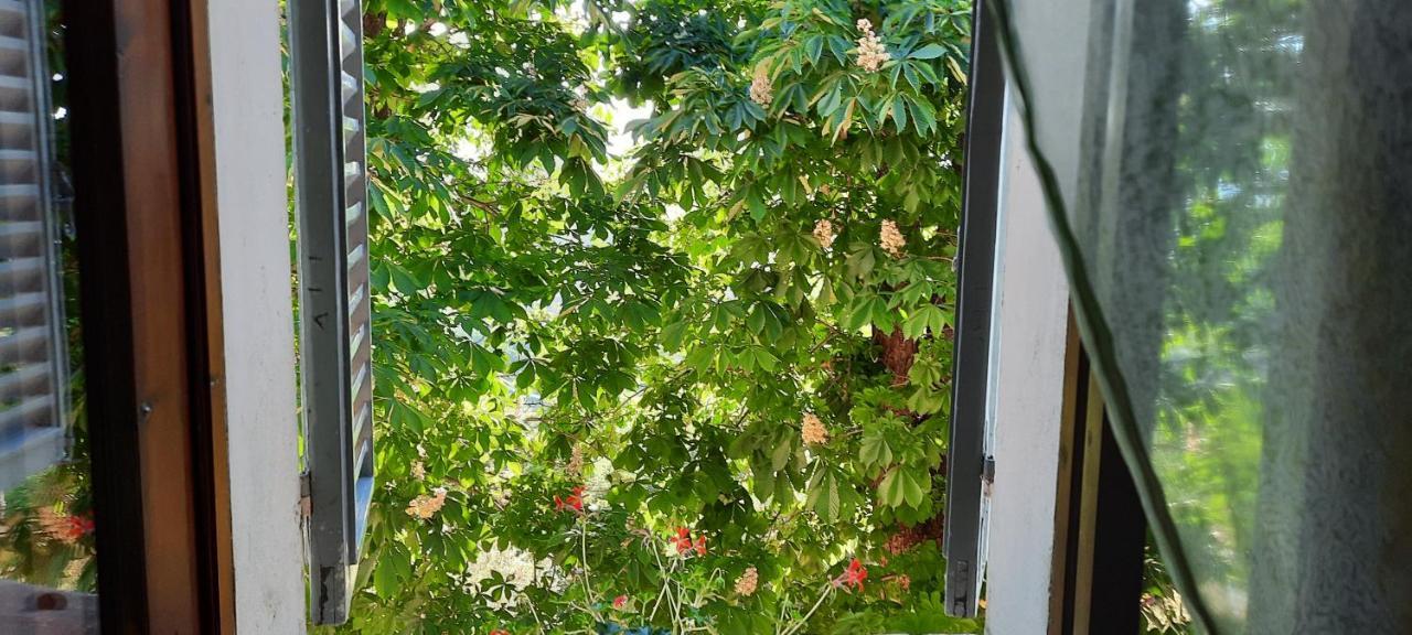 Agriturismo Villino Bellavista 스폴레토 외부 사진